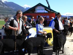 2019_ausstellung polling_383